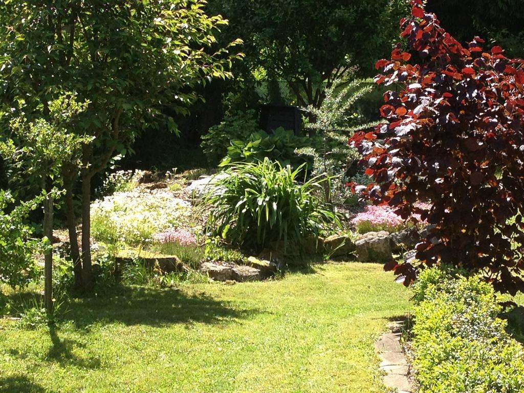 Ferienwohnung Baars Bad Sachsa Buitenkant foto